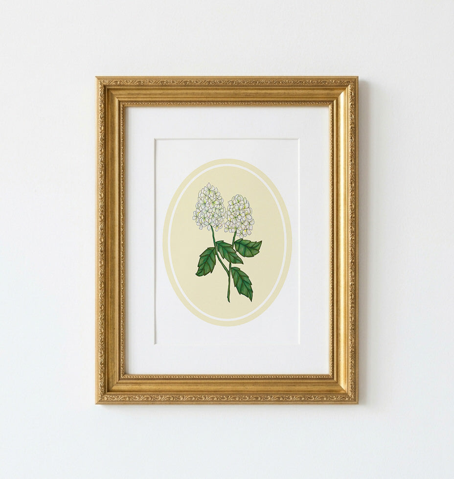 Art Print | Yellow Oval Frame With Limelight Botanical