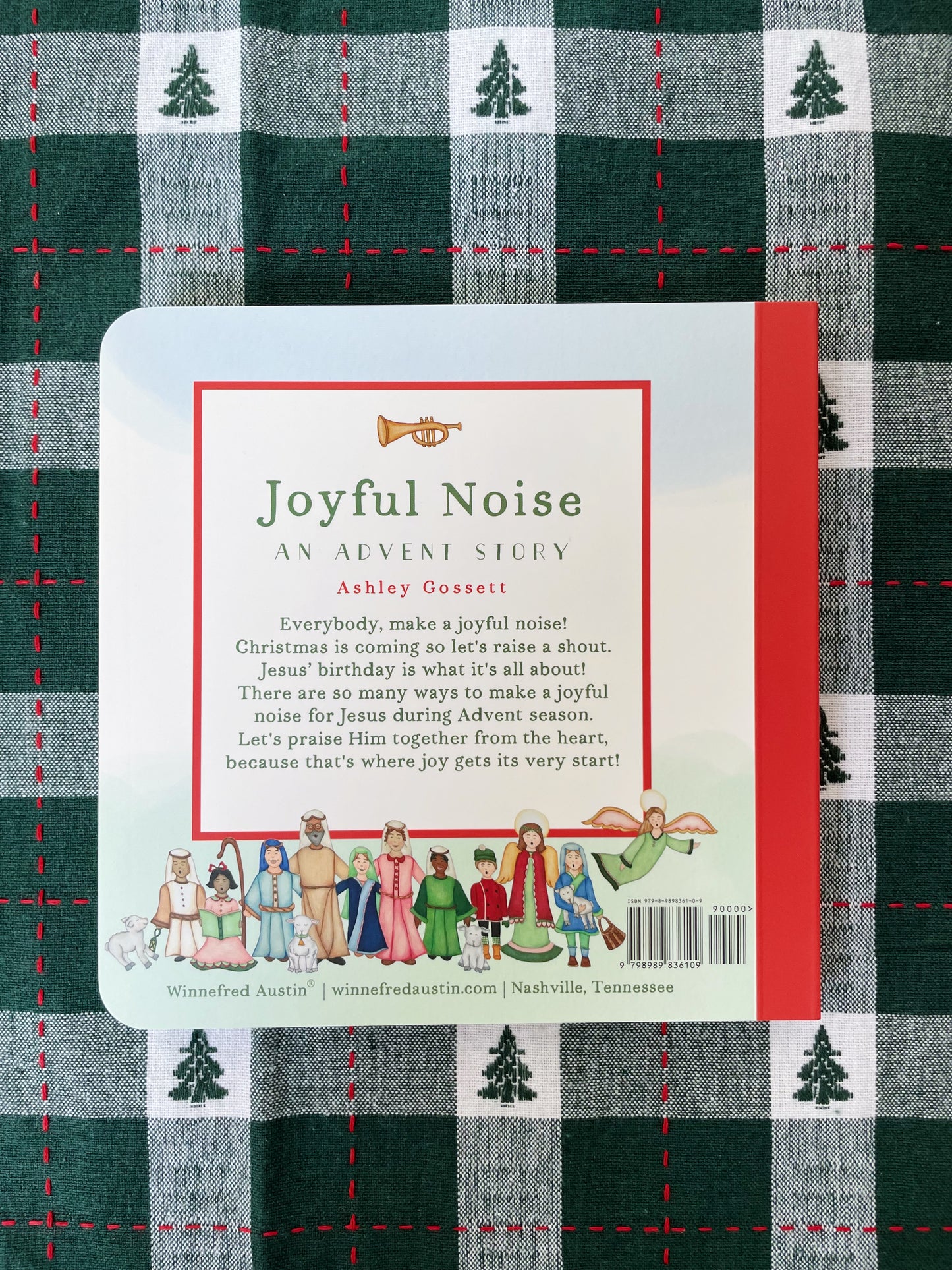 Joyful Noise: An Advent Story Board Book