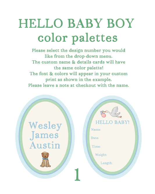 Hello Baby Boy! Set of 2 Custom Baby Name & Birth Details Cards