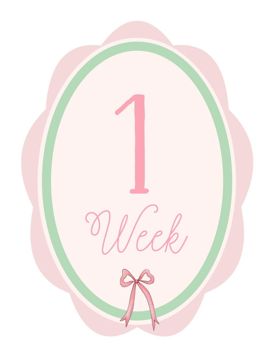 Little Bow Baby Milestone Cards