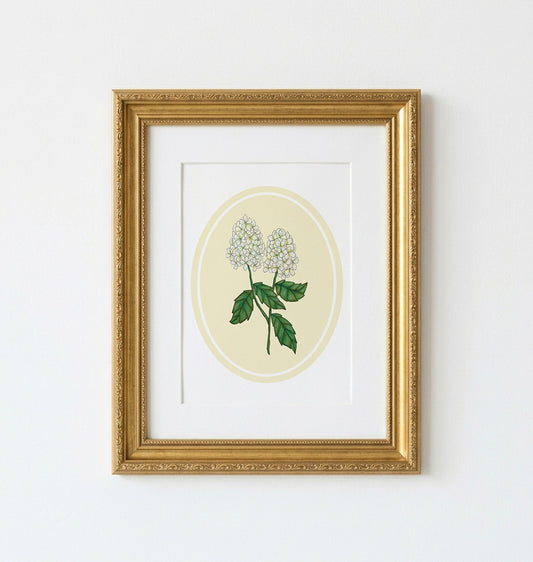 Art Print | Yellow Oval Frame With Limelight Botanical